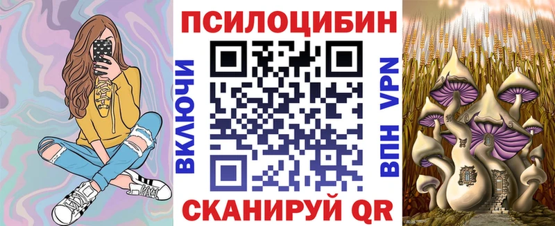 Псилоцибиновые грибы MAGIC MUSHROOMS  магазин продажи наркотиков  Темрюк 
