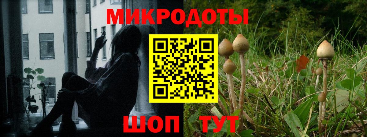 Галлюциногенные грибы Cubensis Темрюк